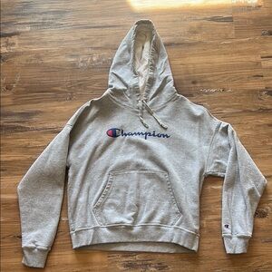 Champion Gray Hoodie